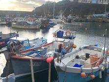 uk harbour scene